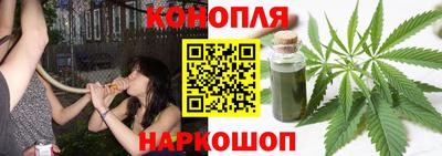 стафф Обь