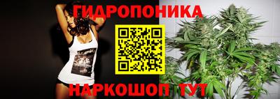 МДПВ Обнинск