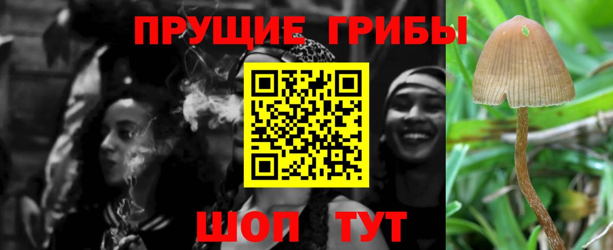 Галлюциногенные грибы MAGIC MUSHROOMS Отрадное